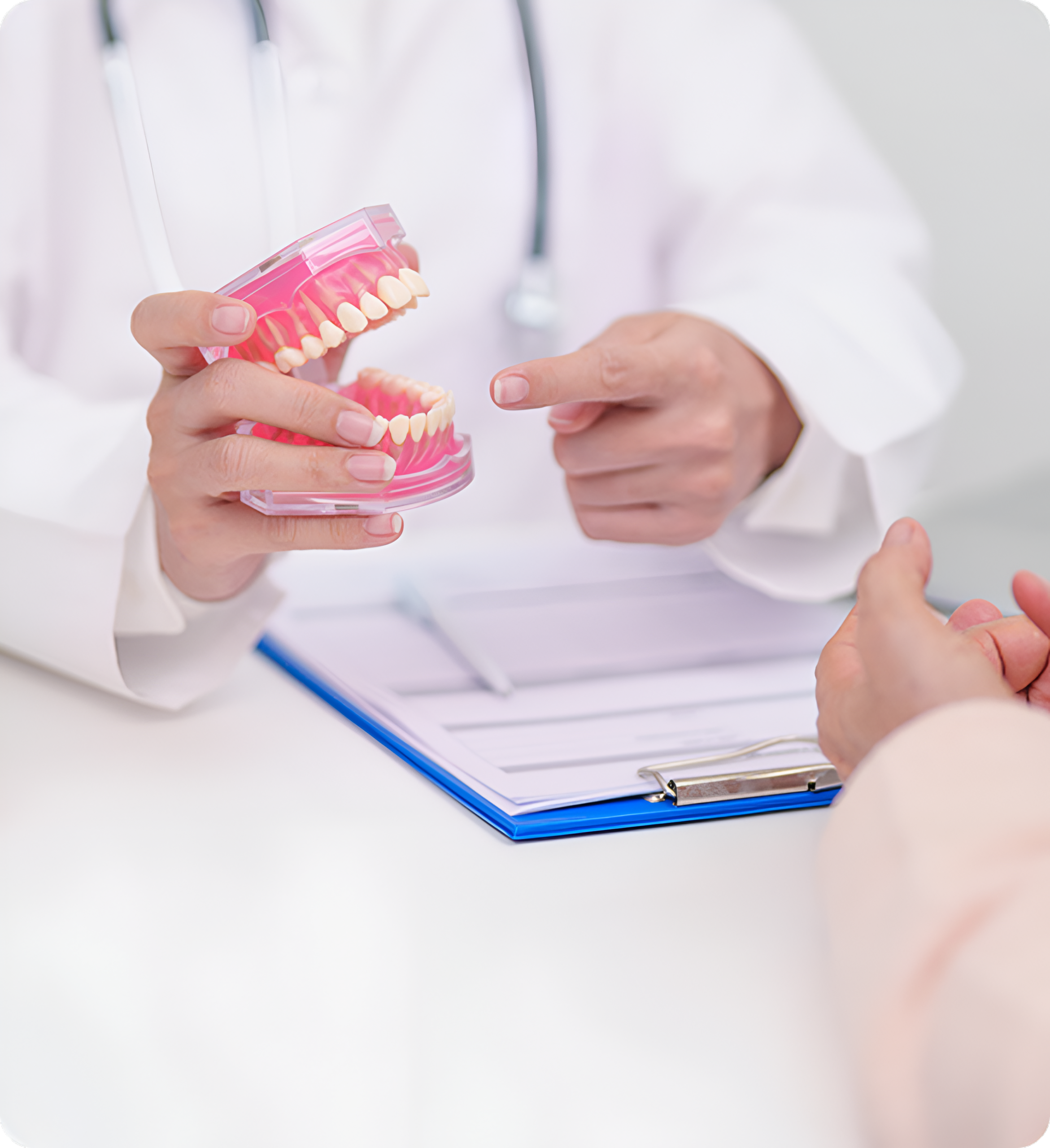 Dentist explaining with a dental model.